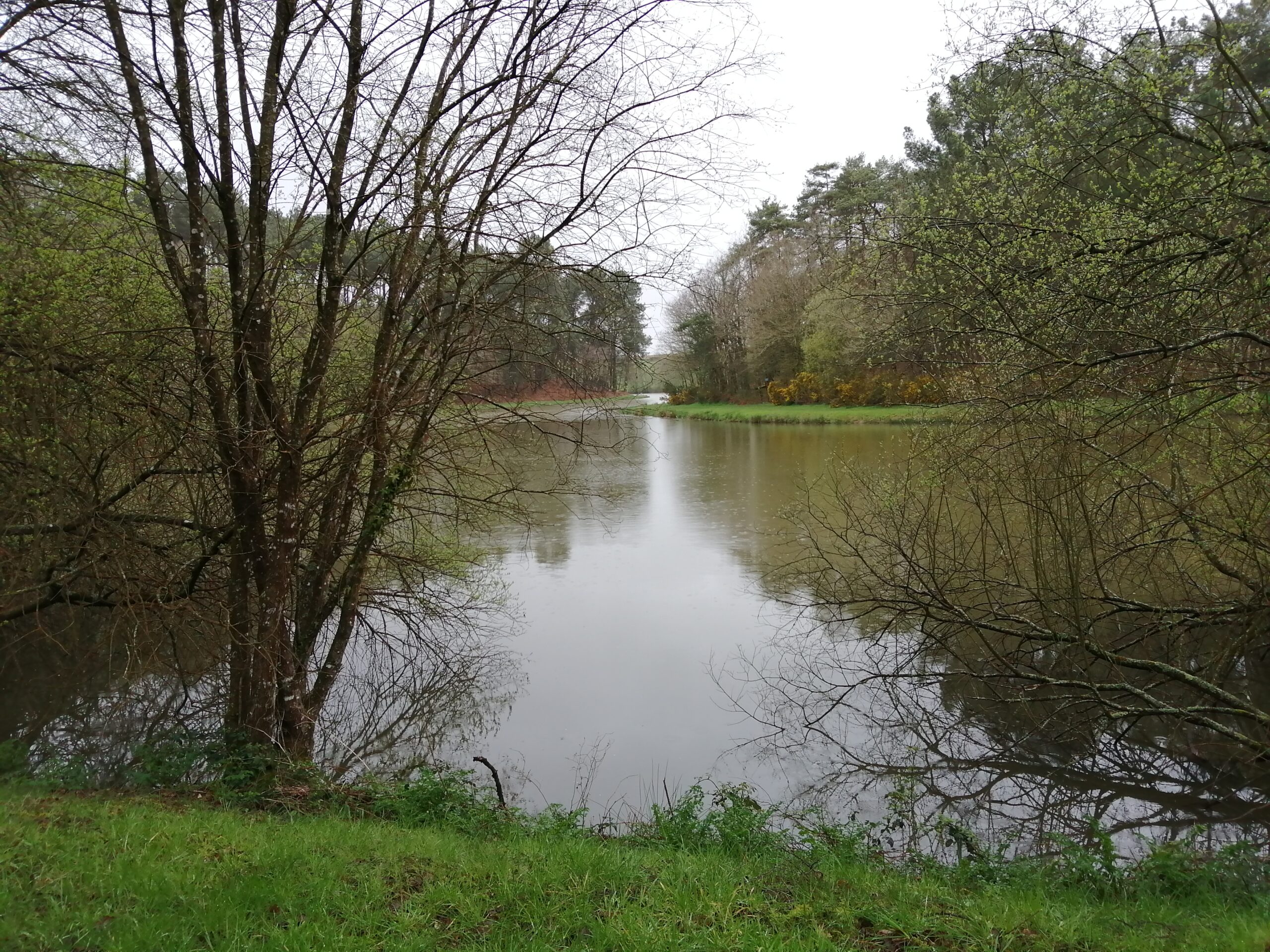 l'étang du Boissy