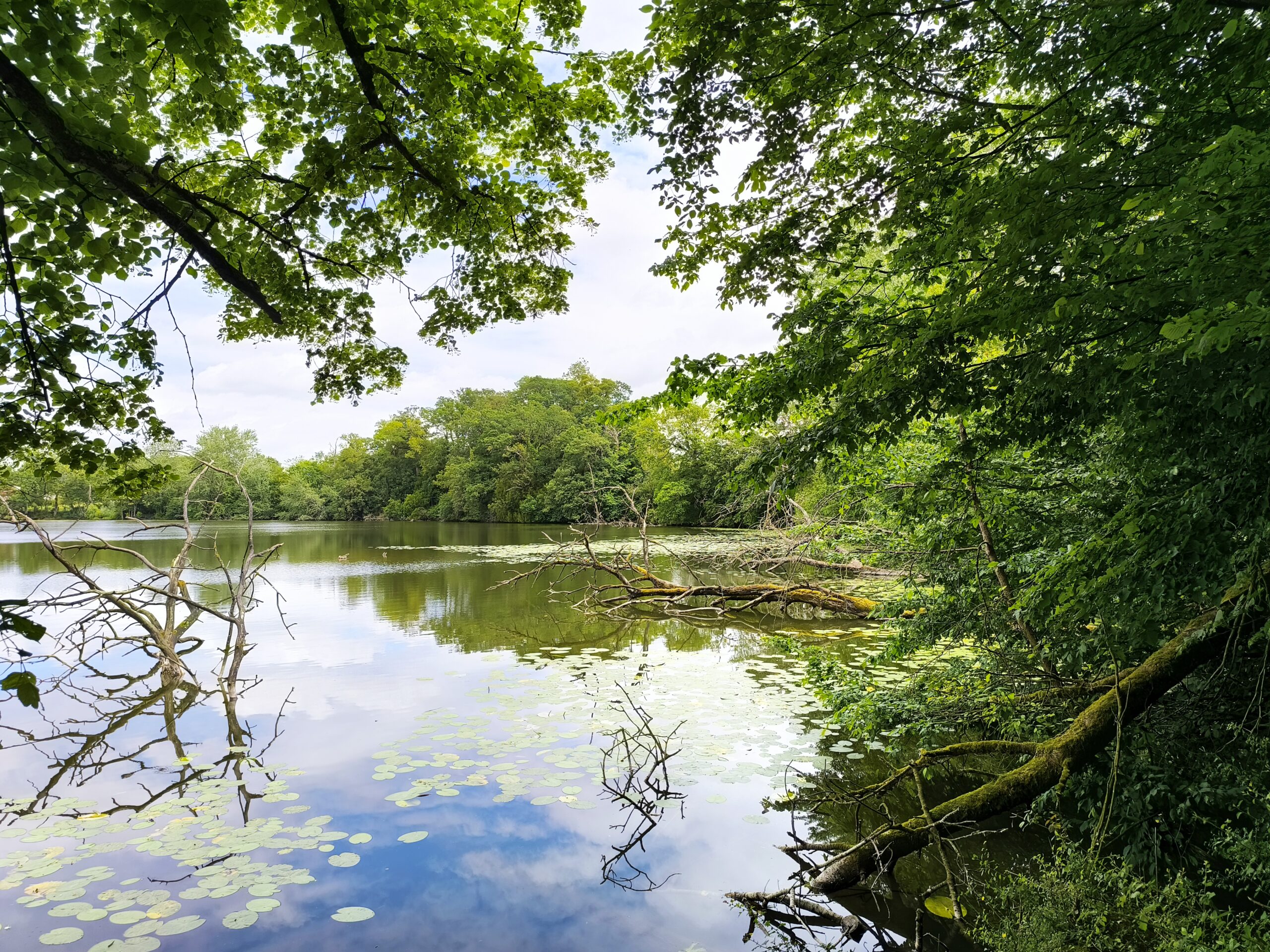 Etang du Lou du Lac