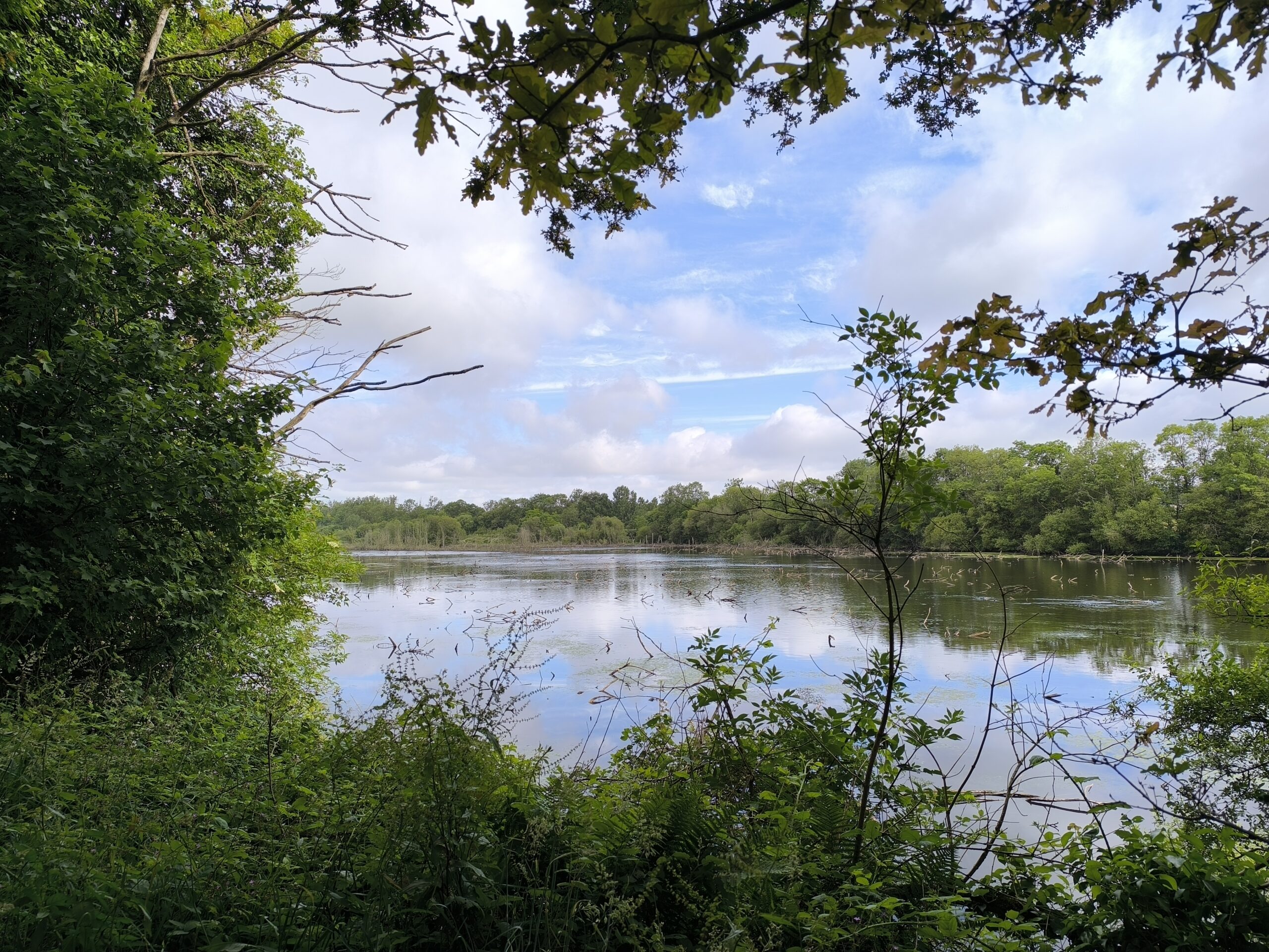 Etang de Chaillou