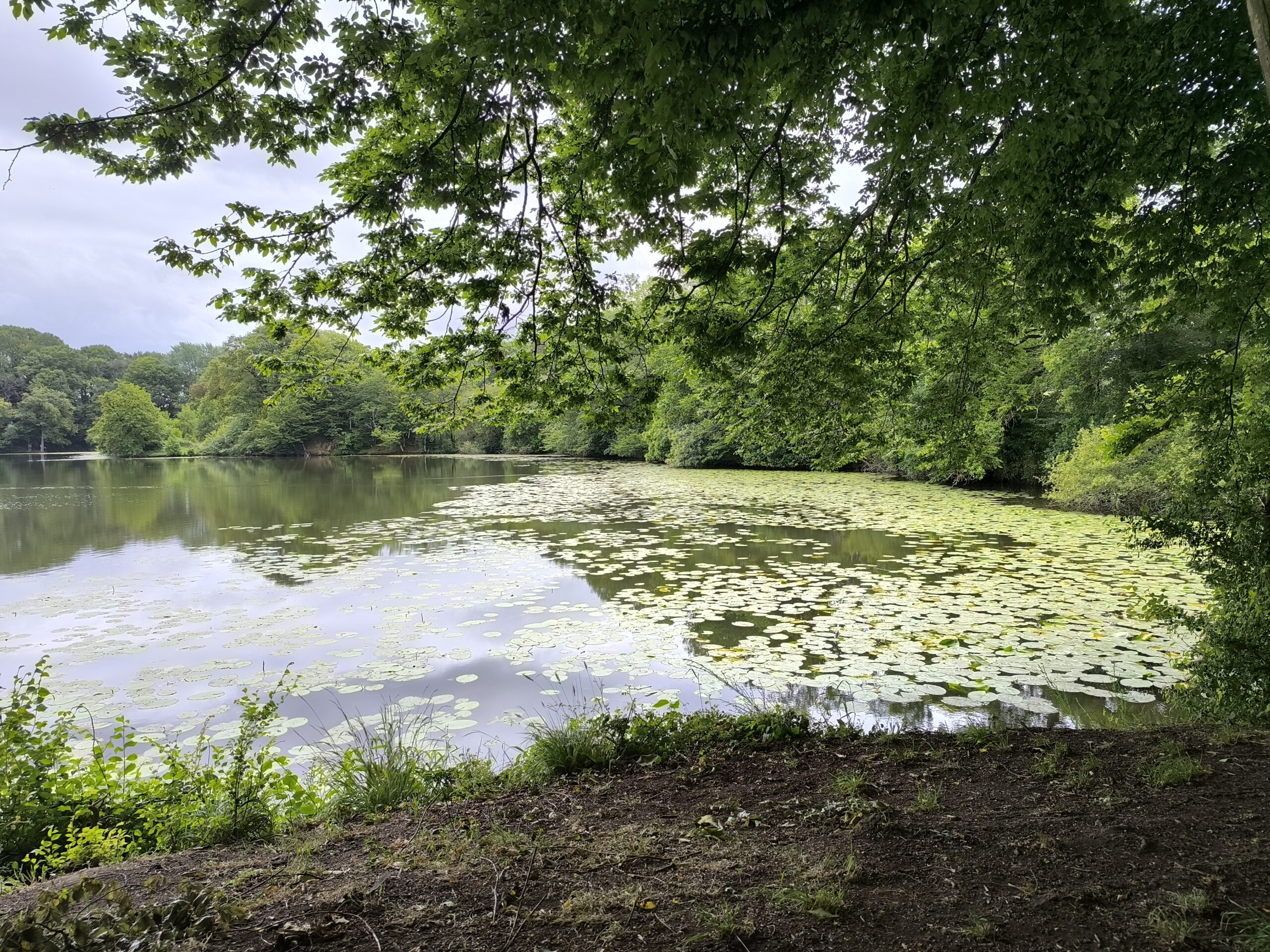 L'étang du Lou du Lac