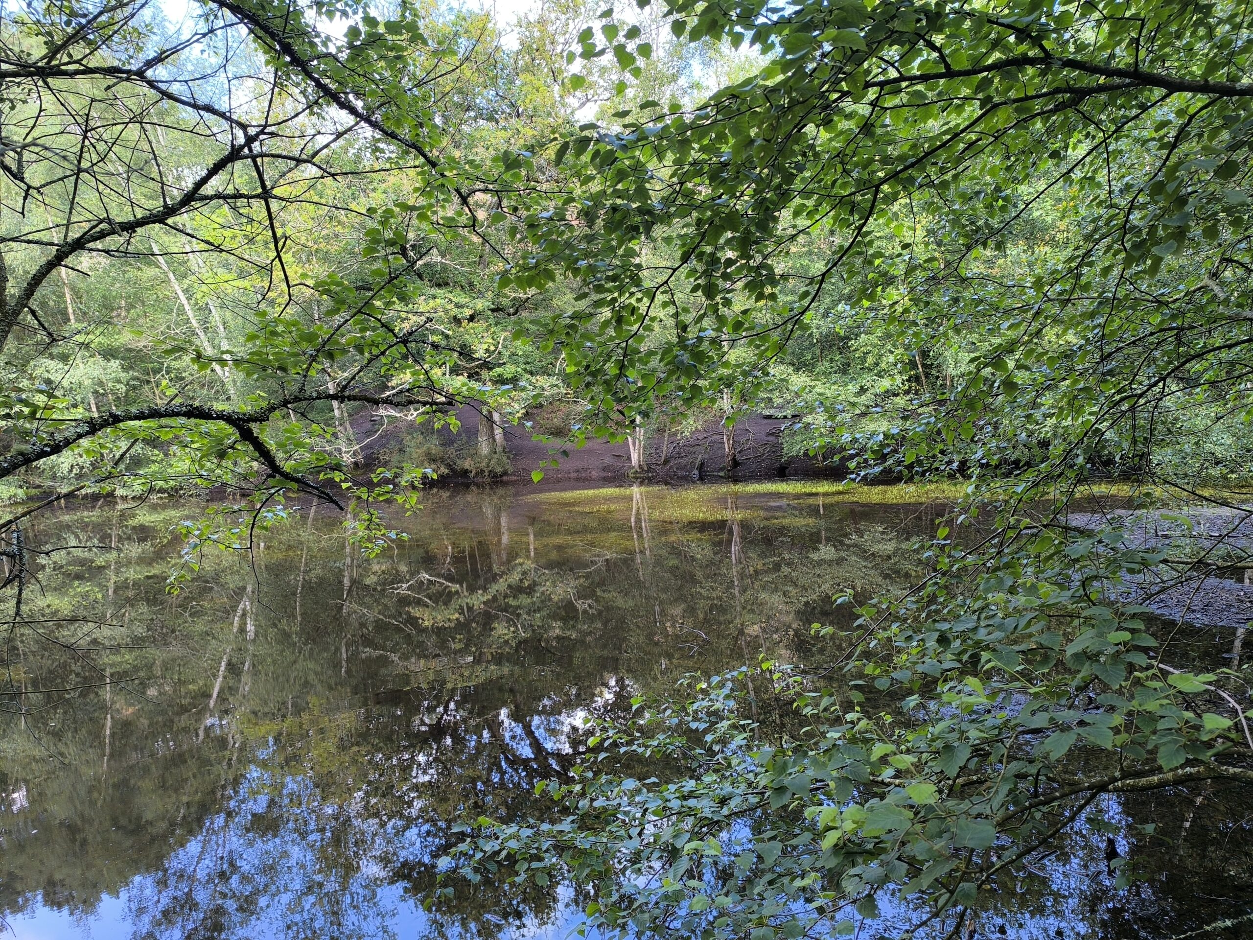 le miroir aux fées