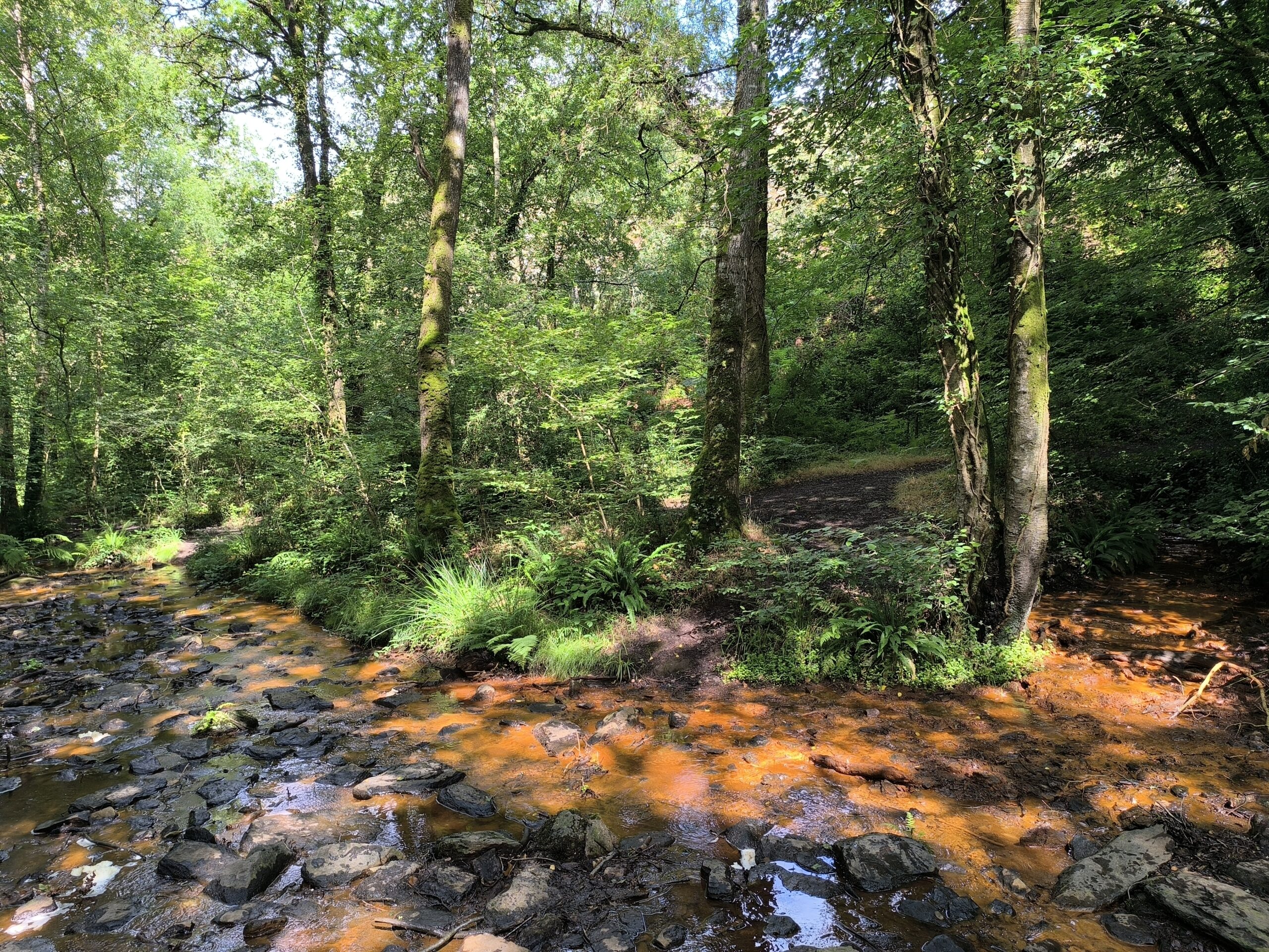 Les couleurs de l'Aff