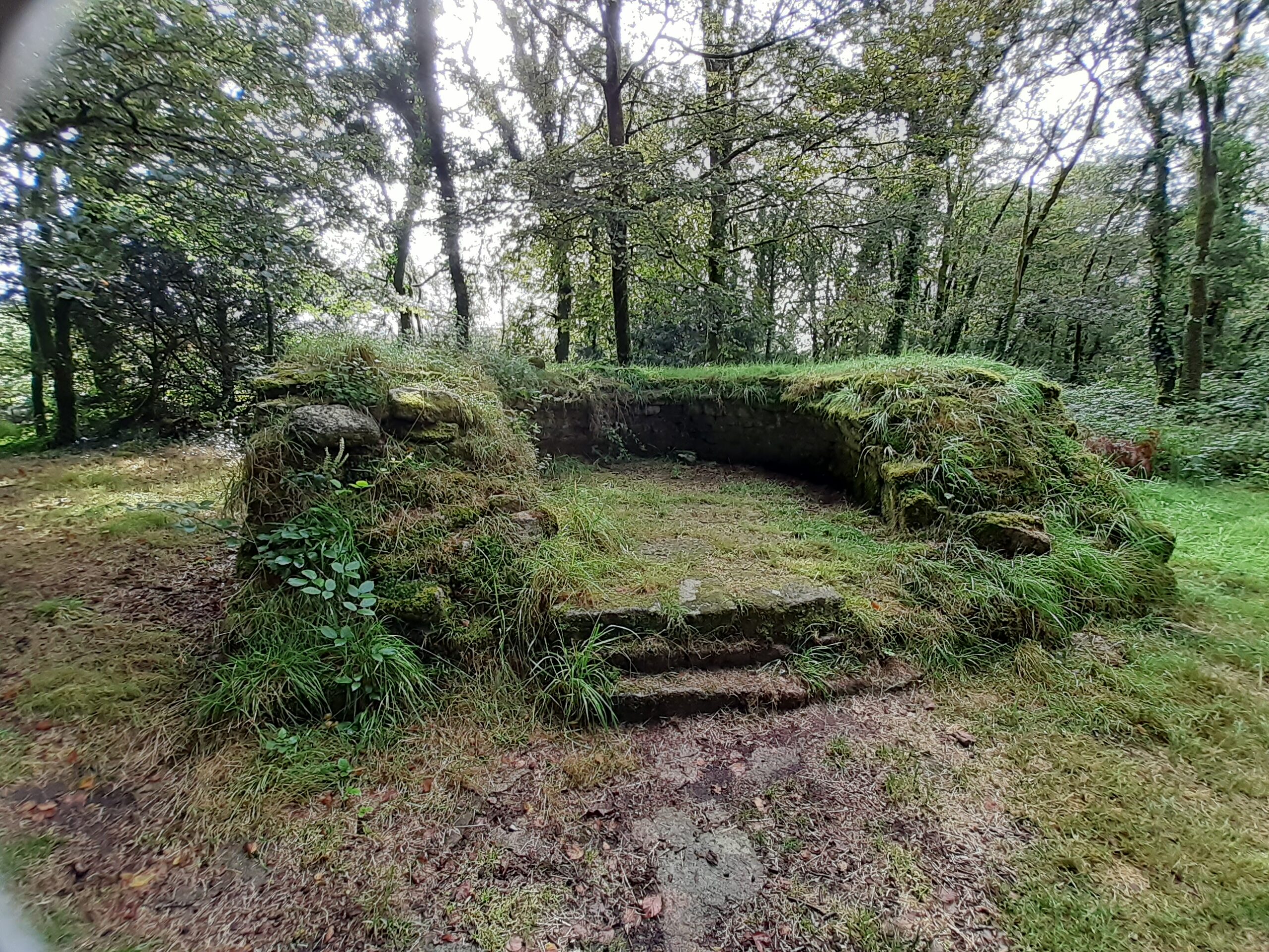 Vestiges du hameau médiéval