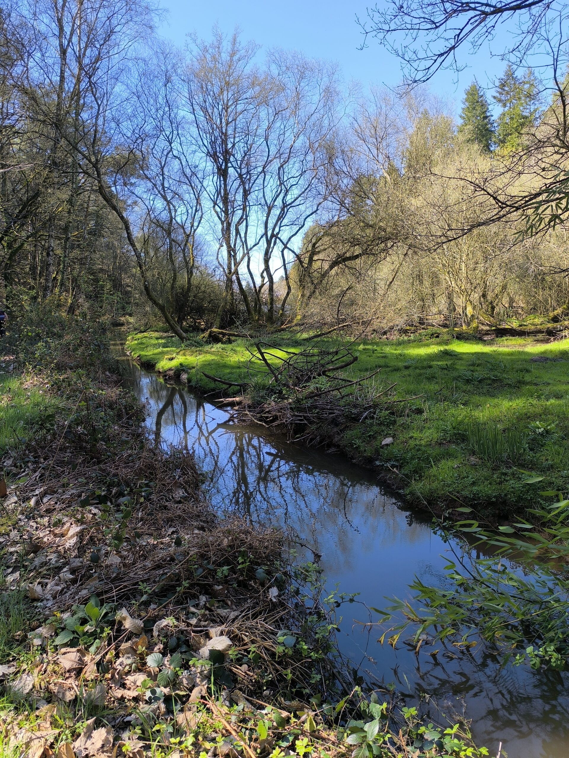 le ruisseau du Pont Perrin