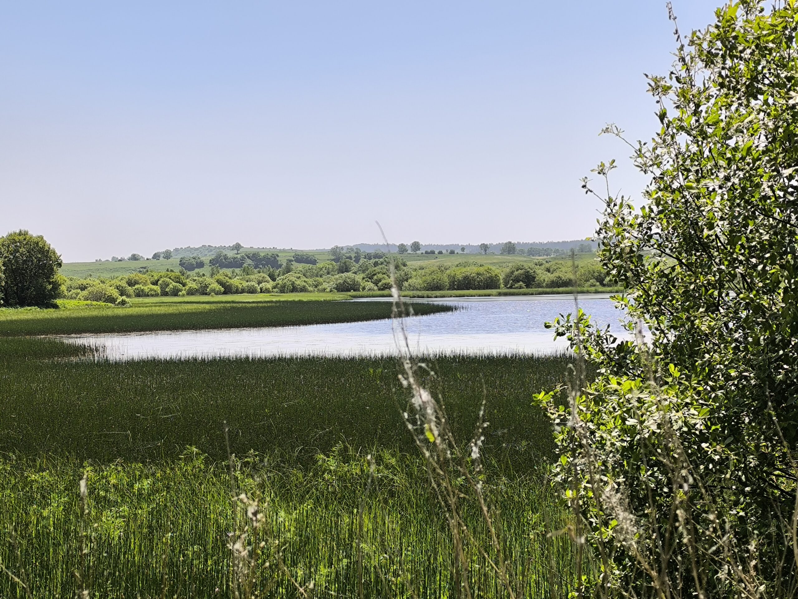 Etang du Jolan