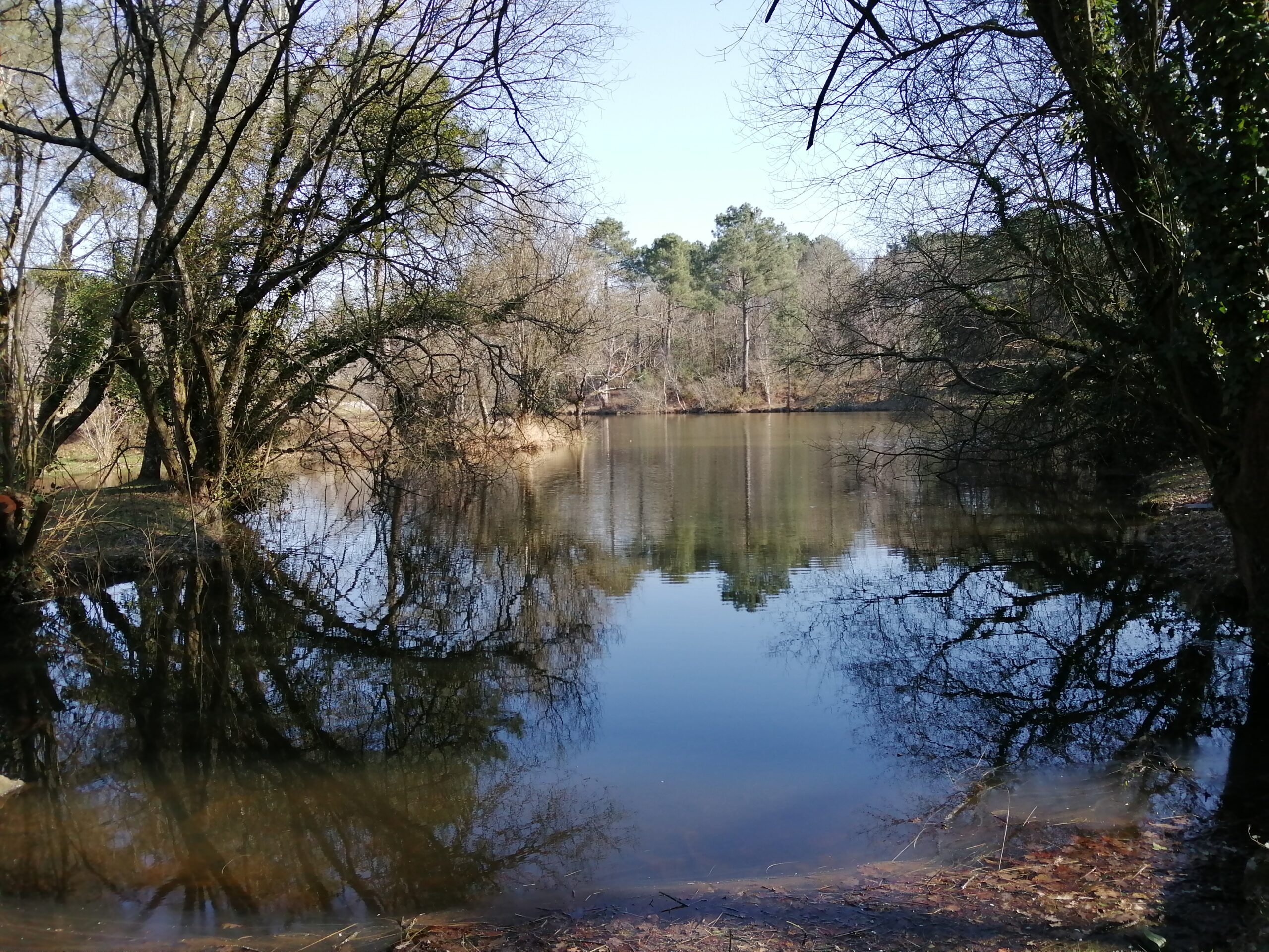 Etang du Chaperon Rouge