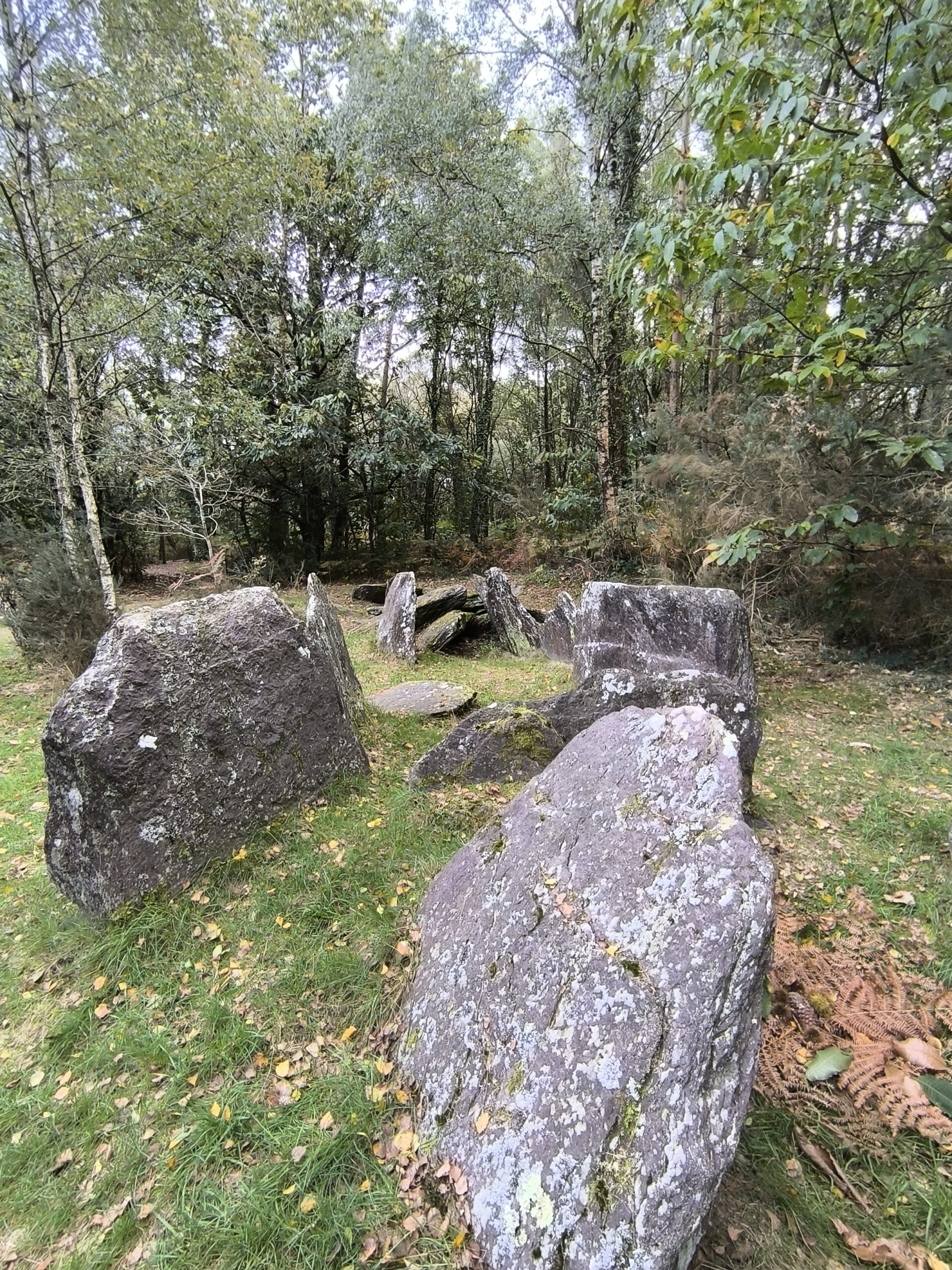 Allée couverte de la loge Morinais
