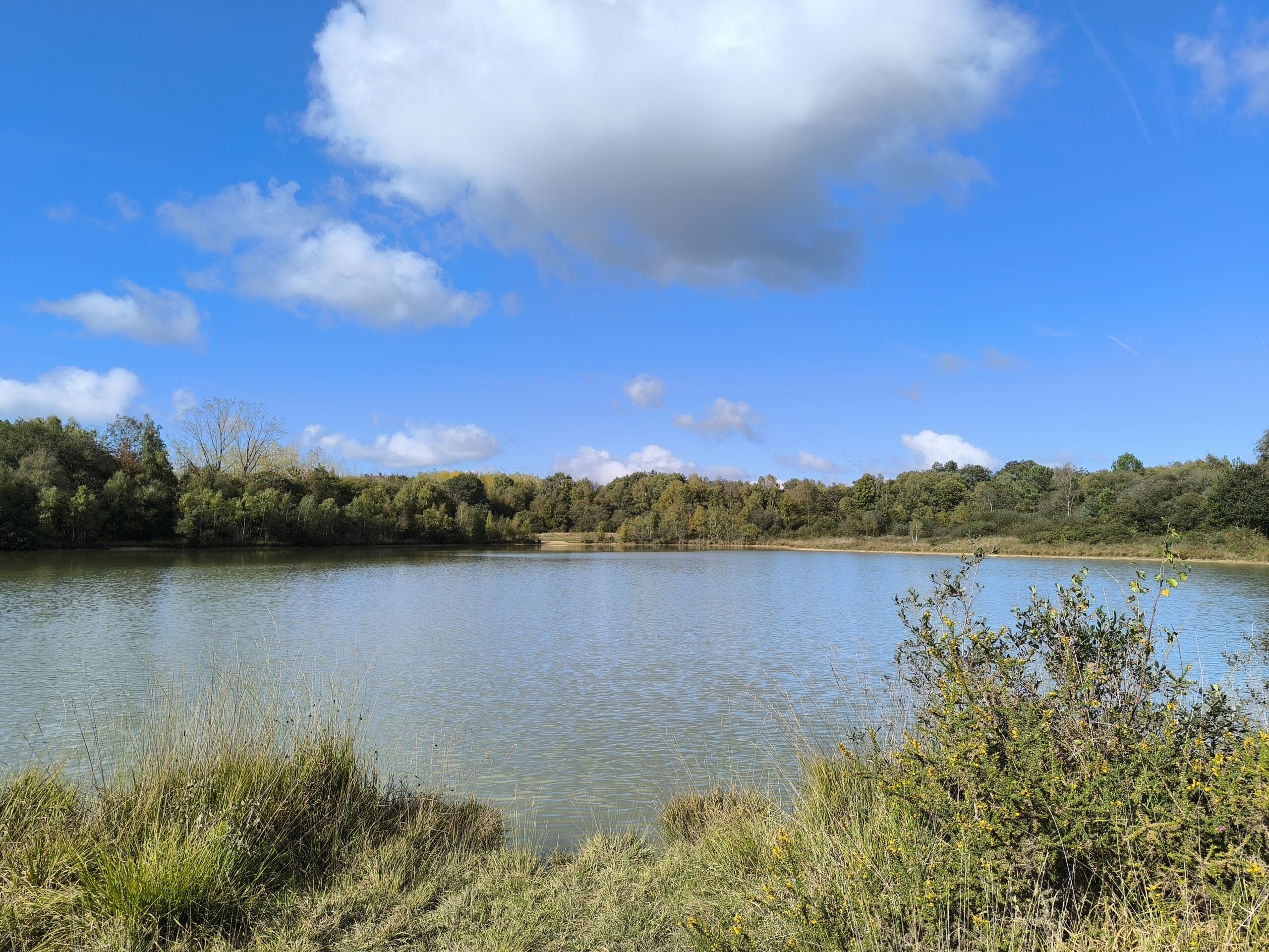 Etang de Quehéon