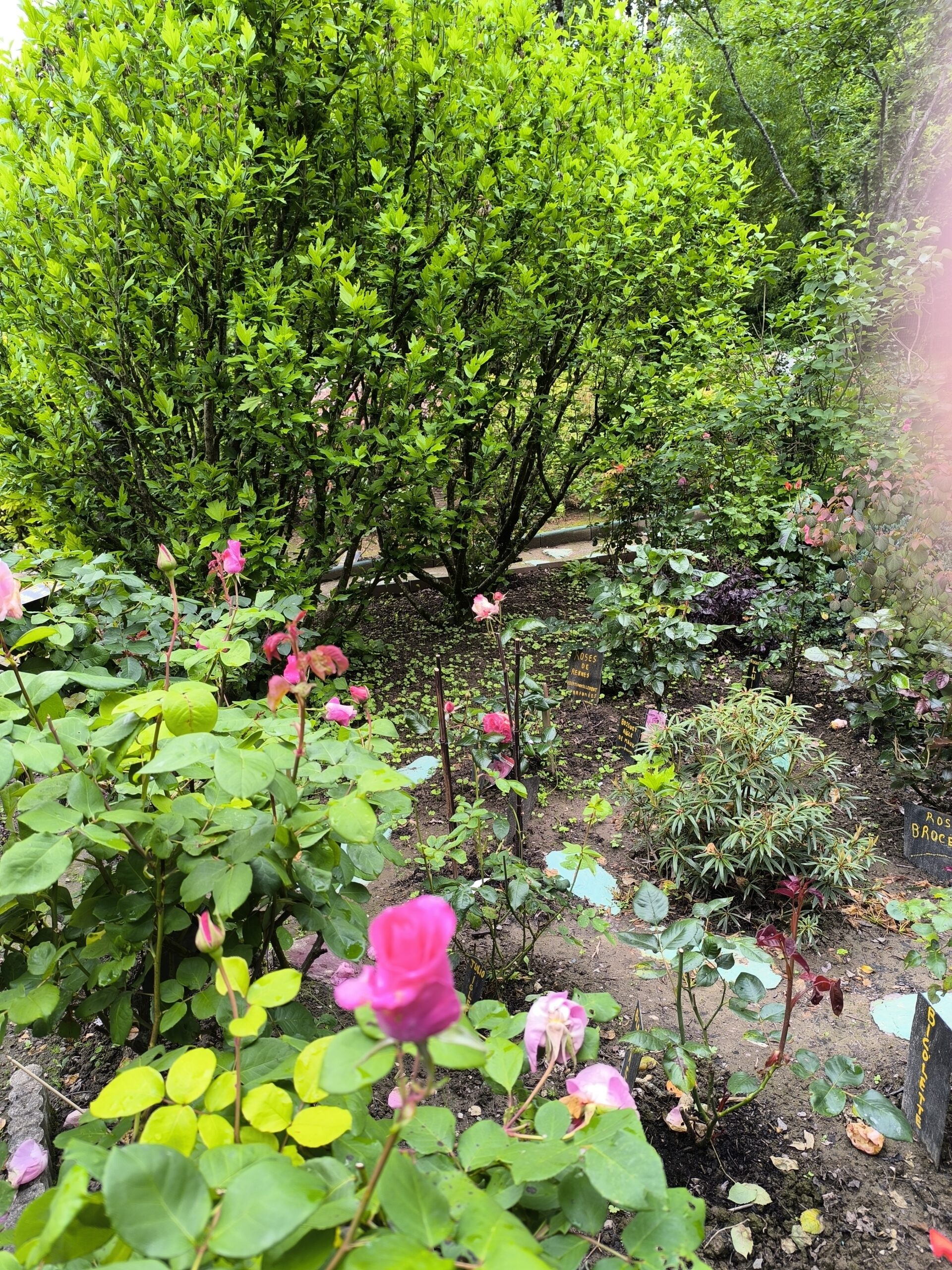 Le jardin de Paulo