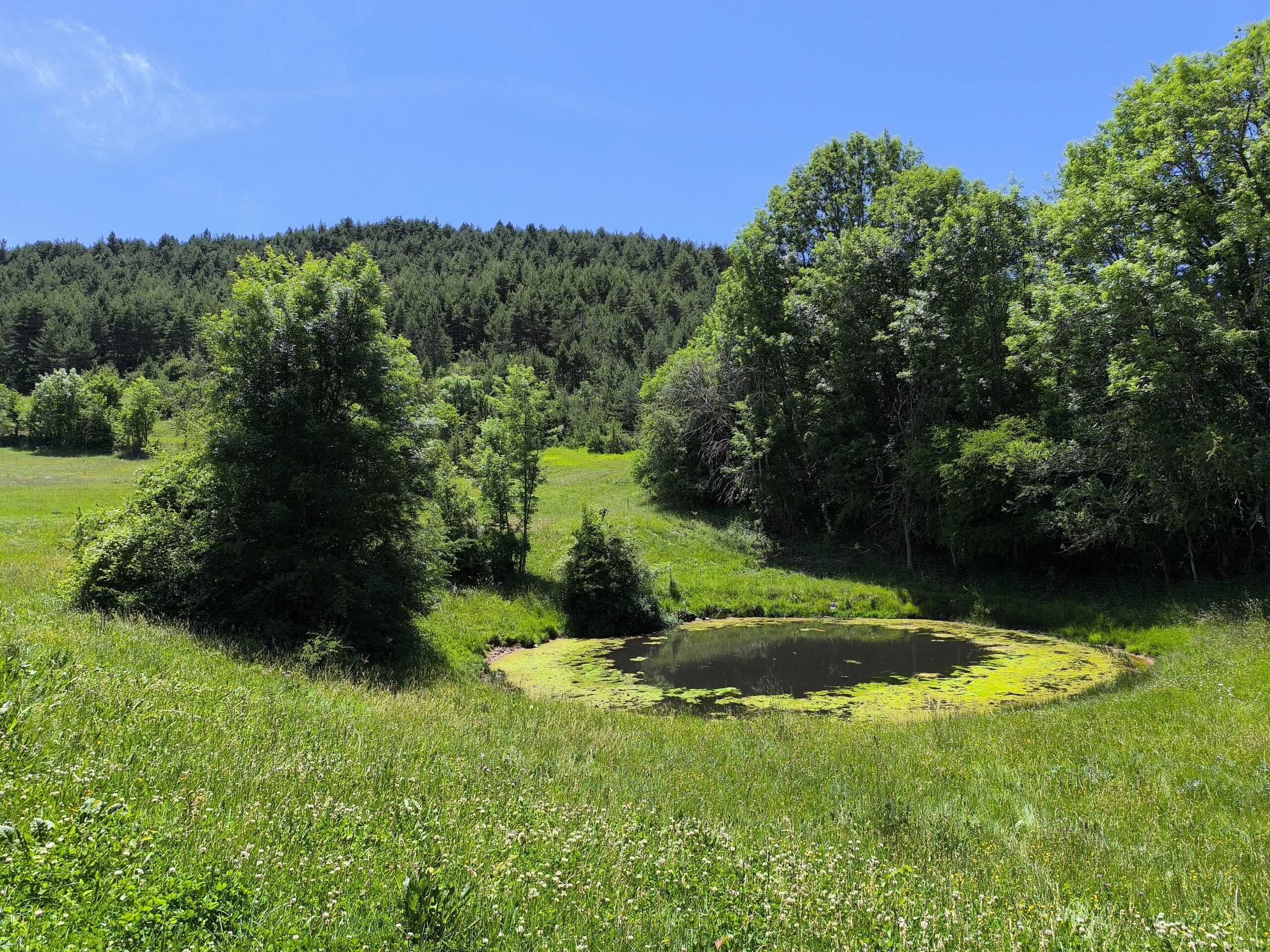 Lavogne