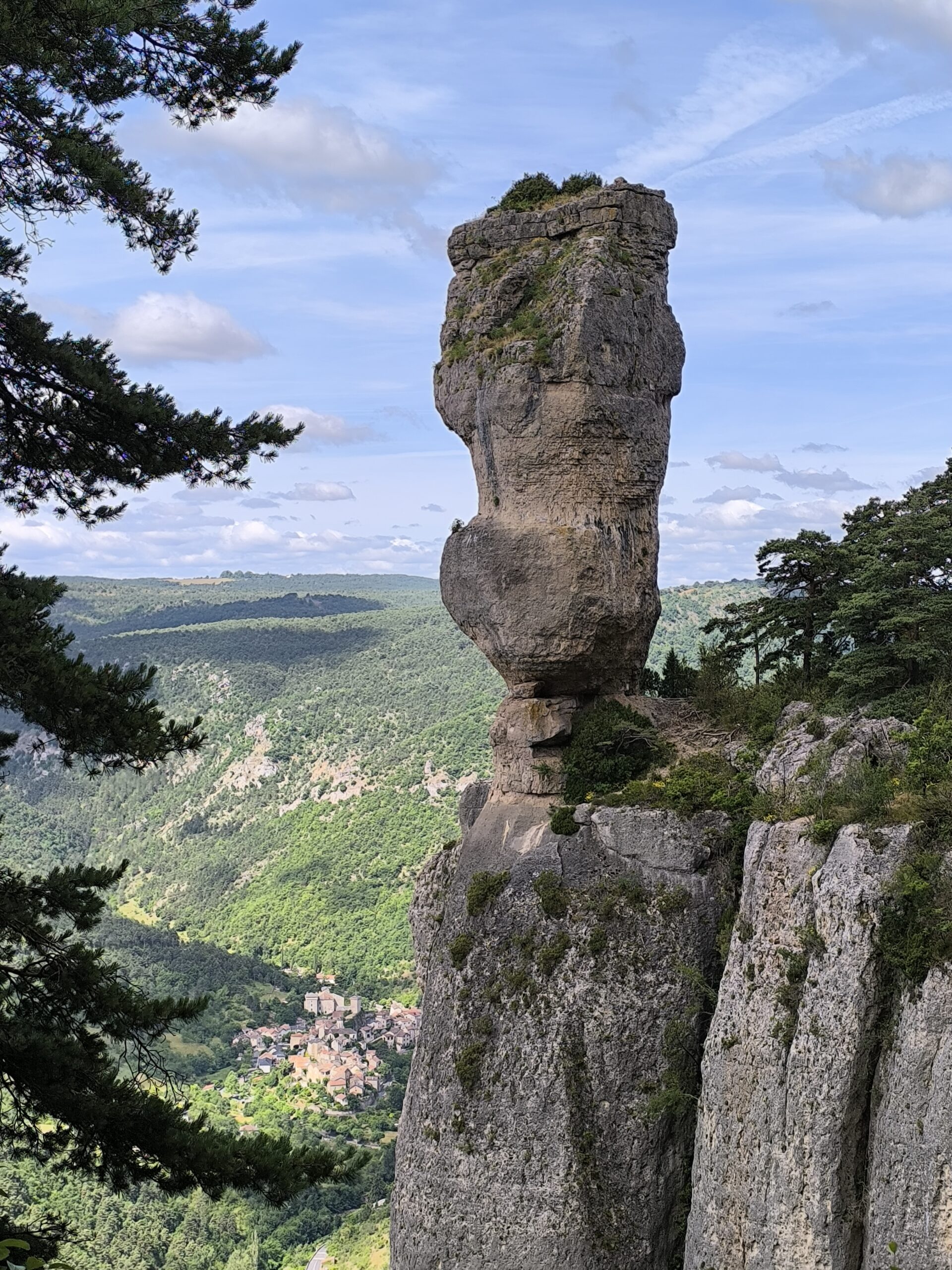 le vase de Chine
