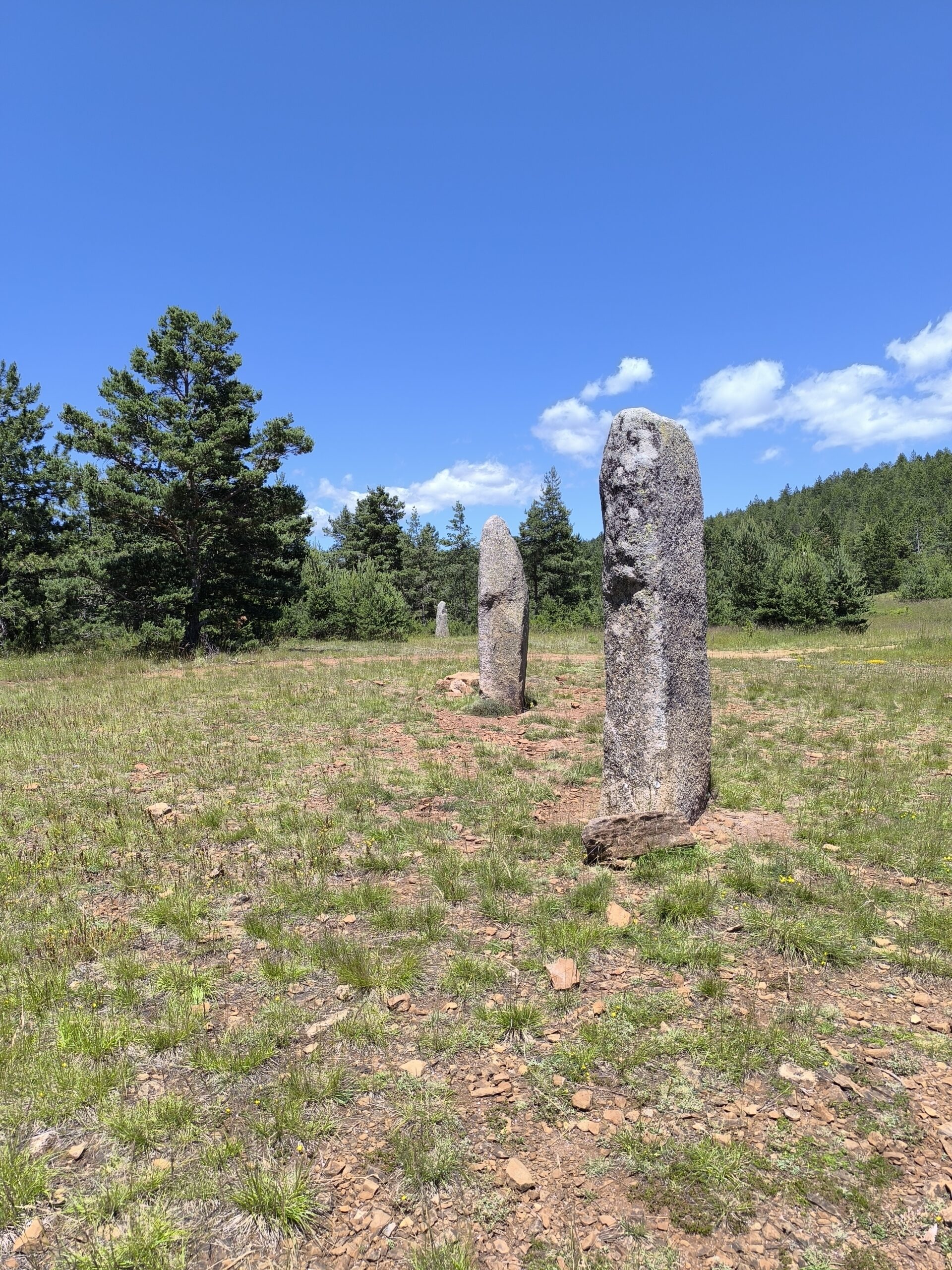 Les menhirs de La Fage