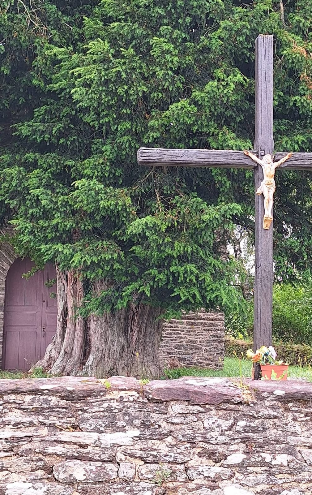chapelle de Périsac et son if - photo ASB SG